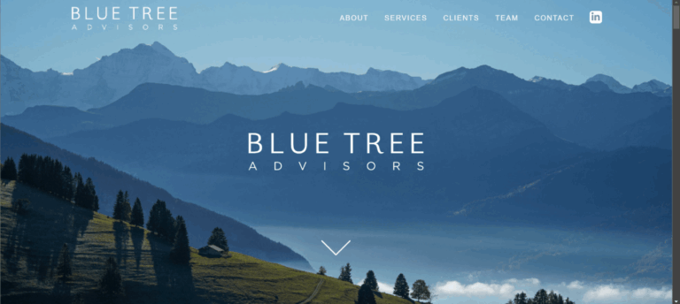 Blue Tree Advisors